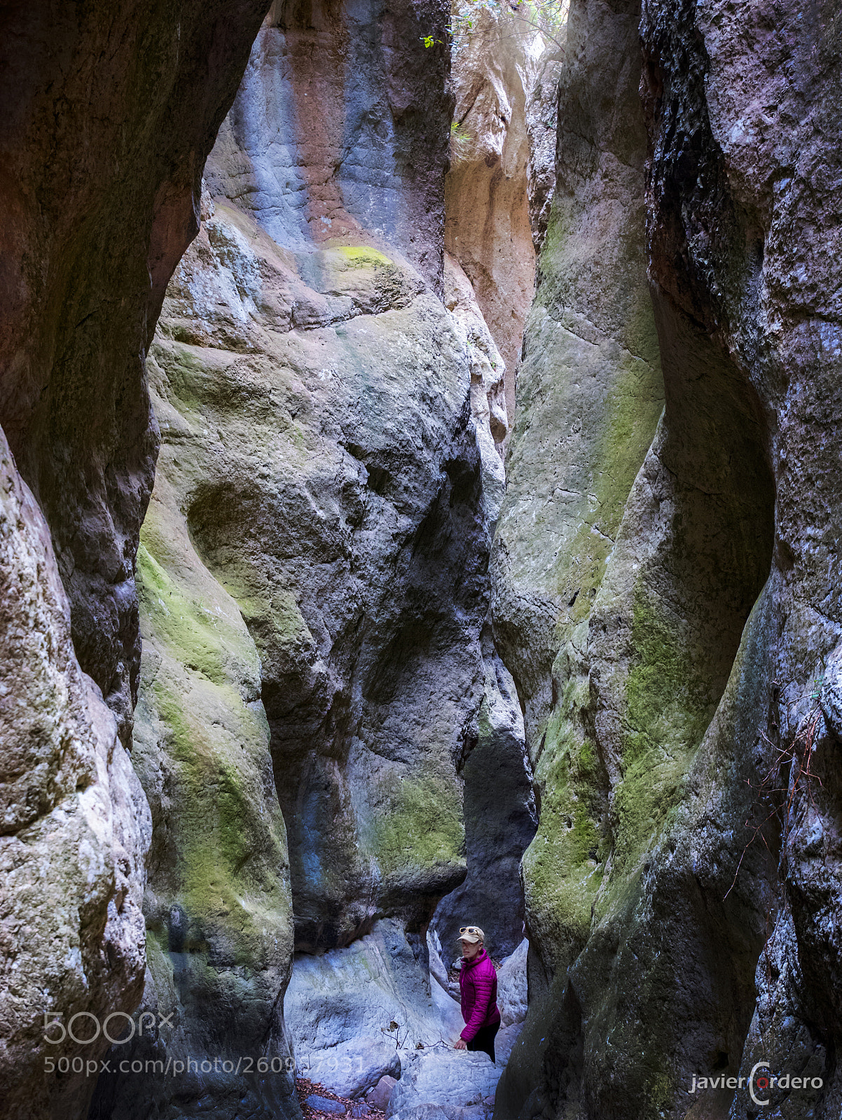 Panasonic Lumix DMC-GX85 (Lumix DMC-GX80 / Lumix DMC-GX7 Mark II) sample photo. 217. chasm bej s photography