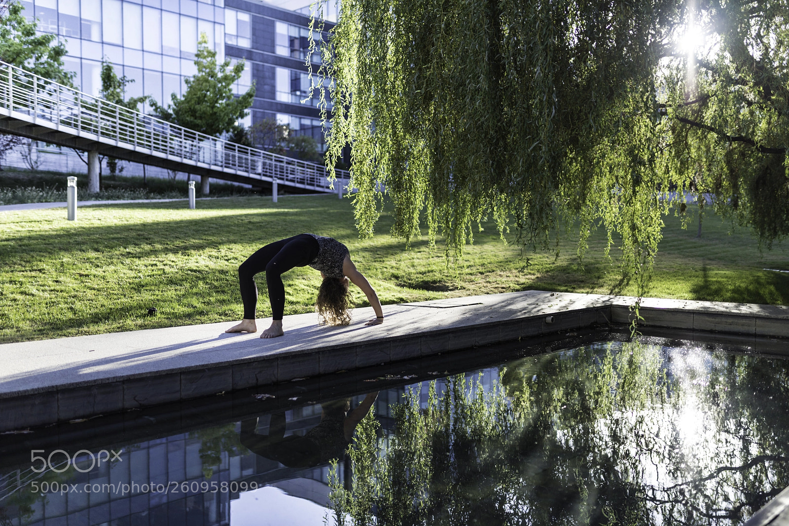 Canon EOS 5D Mark IV sample photo. X - 000 - 0000 - 0010 photography