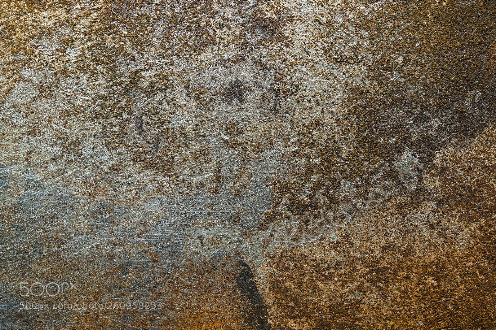 Nikon D850 sample photo. Textured metal surface with photography