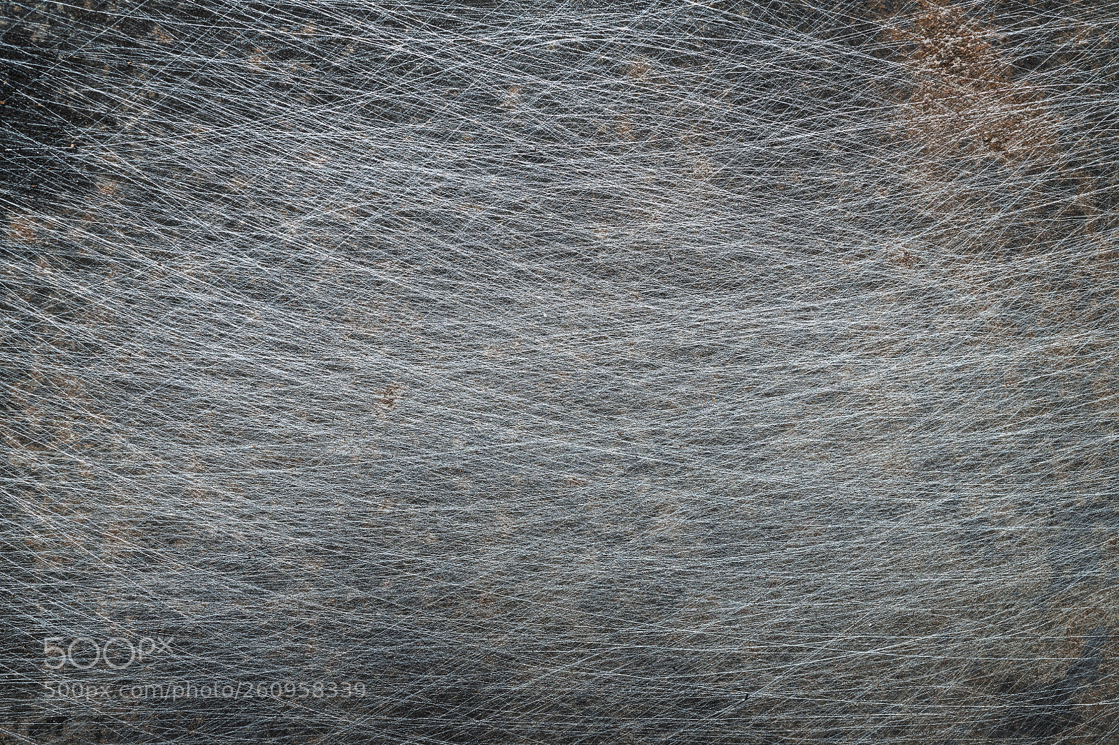 Nikon D850 sample photo. Textured metal surface with photography