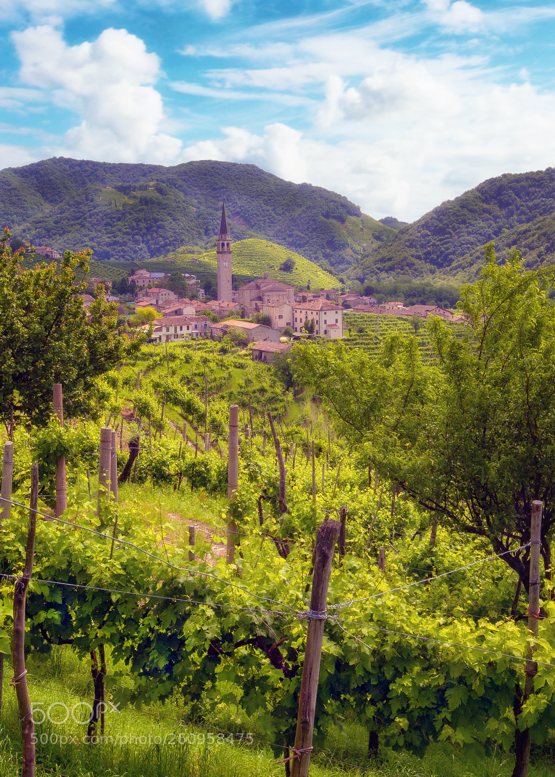 Olympus OM-D E-M10 II sample photo. Strada del prosecco ii photography