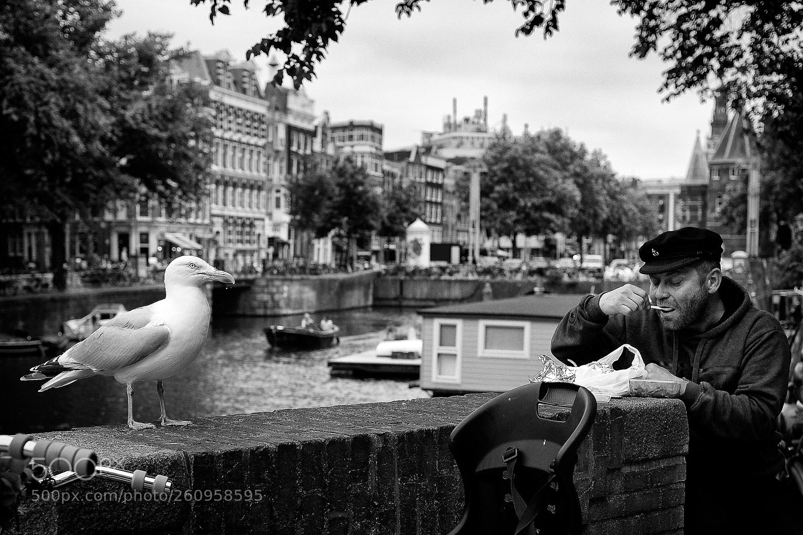 Canon EOS 5D Mark II sample photo. Amsterdam bird photography