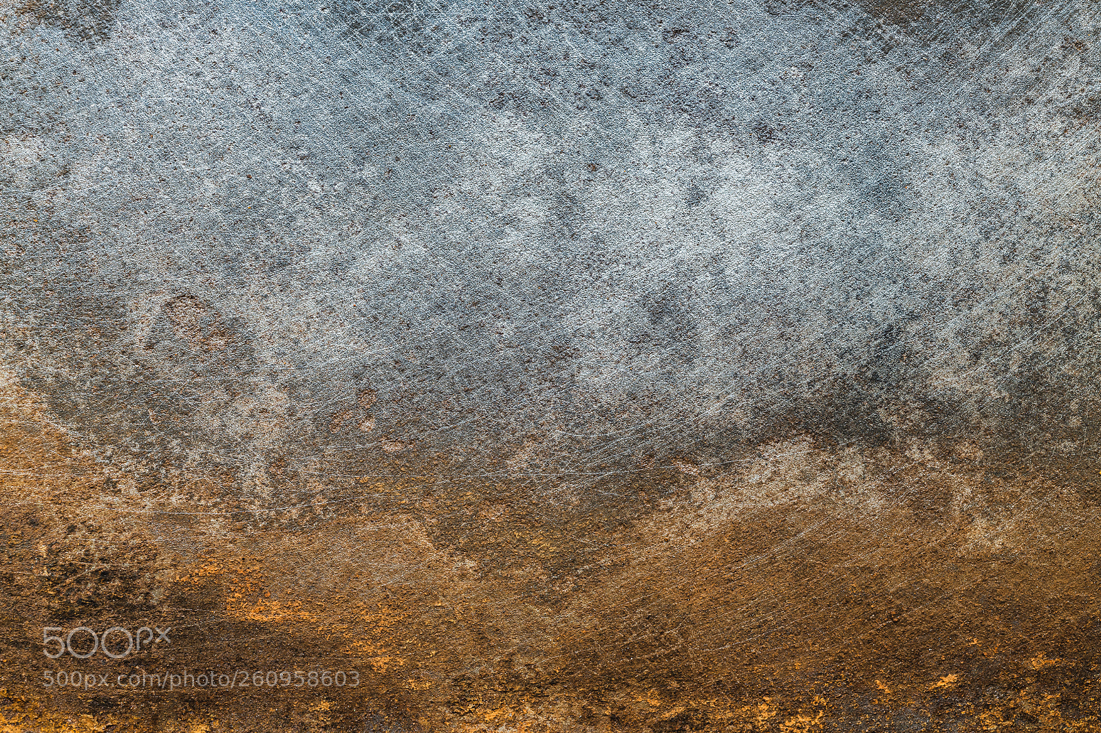 Nikon D850 sample photo. Textured metal surface with photography