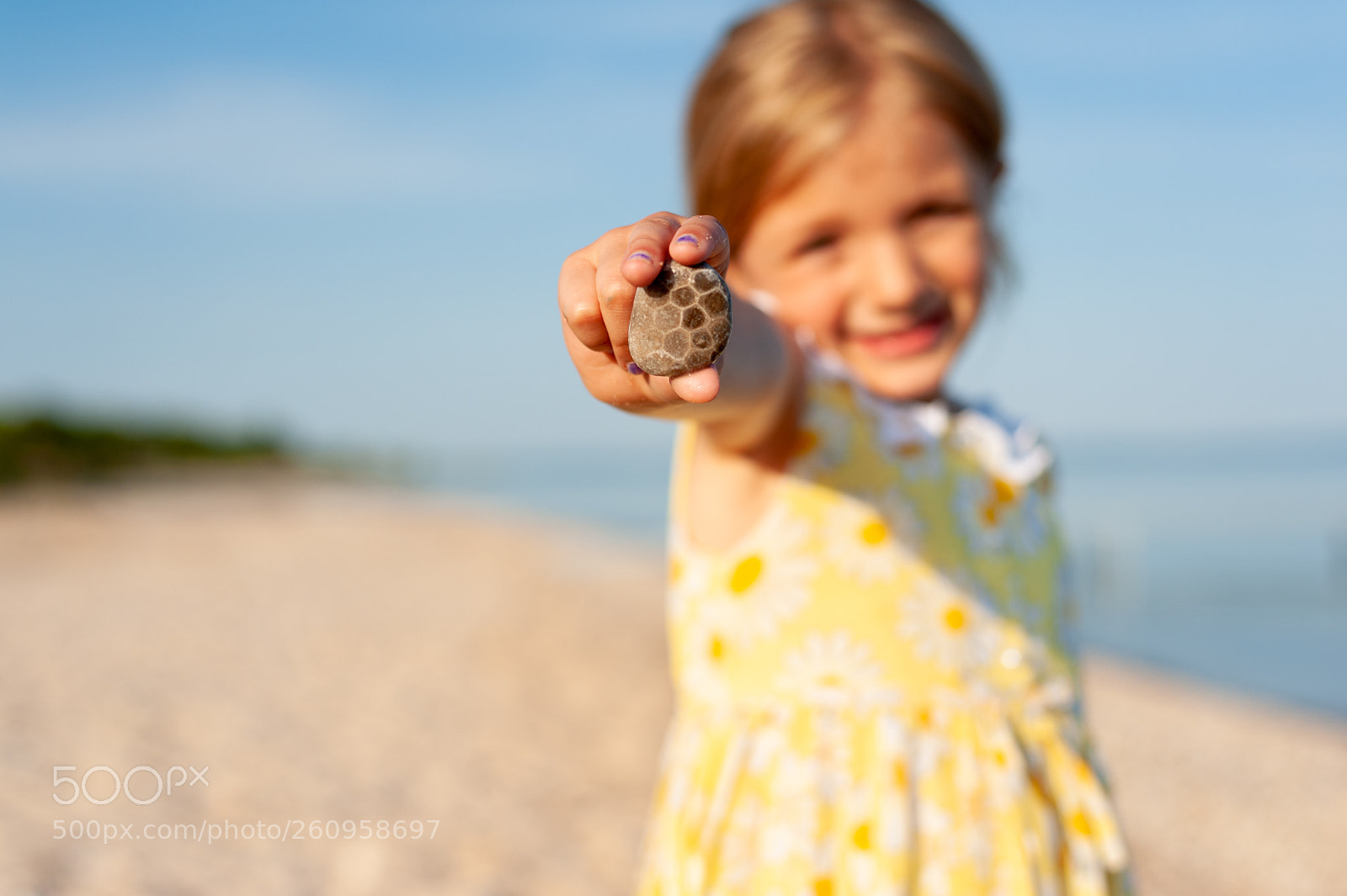 Nikon D700 sample photo. Treasure photography