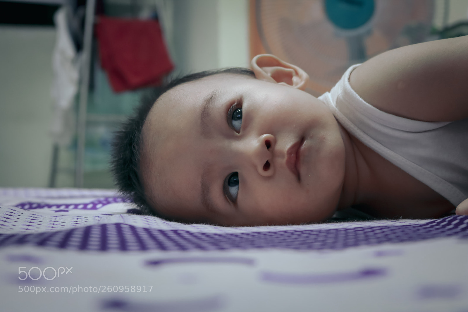 Canon EOS 750D (EOS Rebel T6i / EOS Kiss X8i) sample photo. The eyes photography