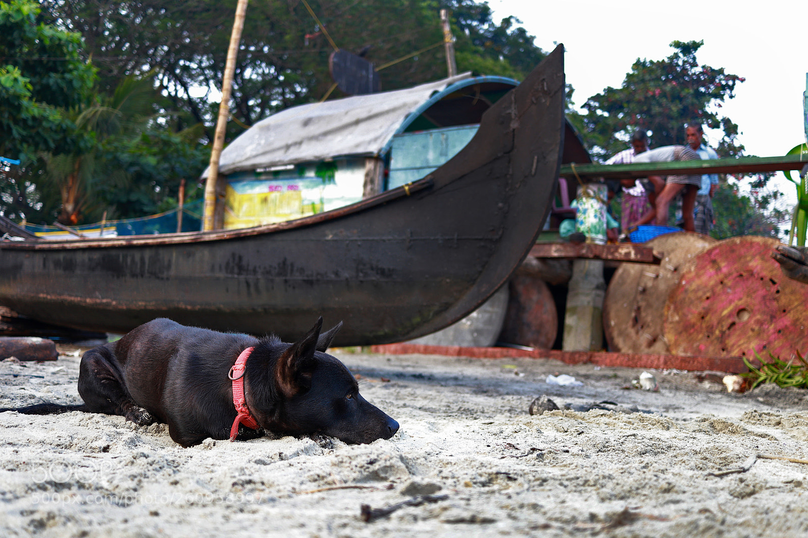 Canon EOS 80D sample photo. Untitled photography