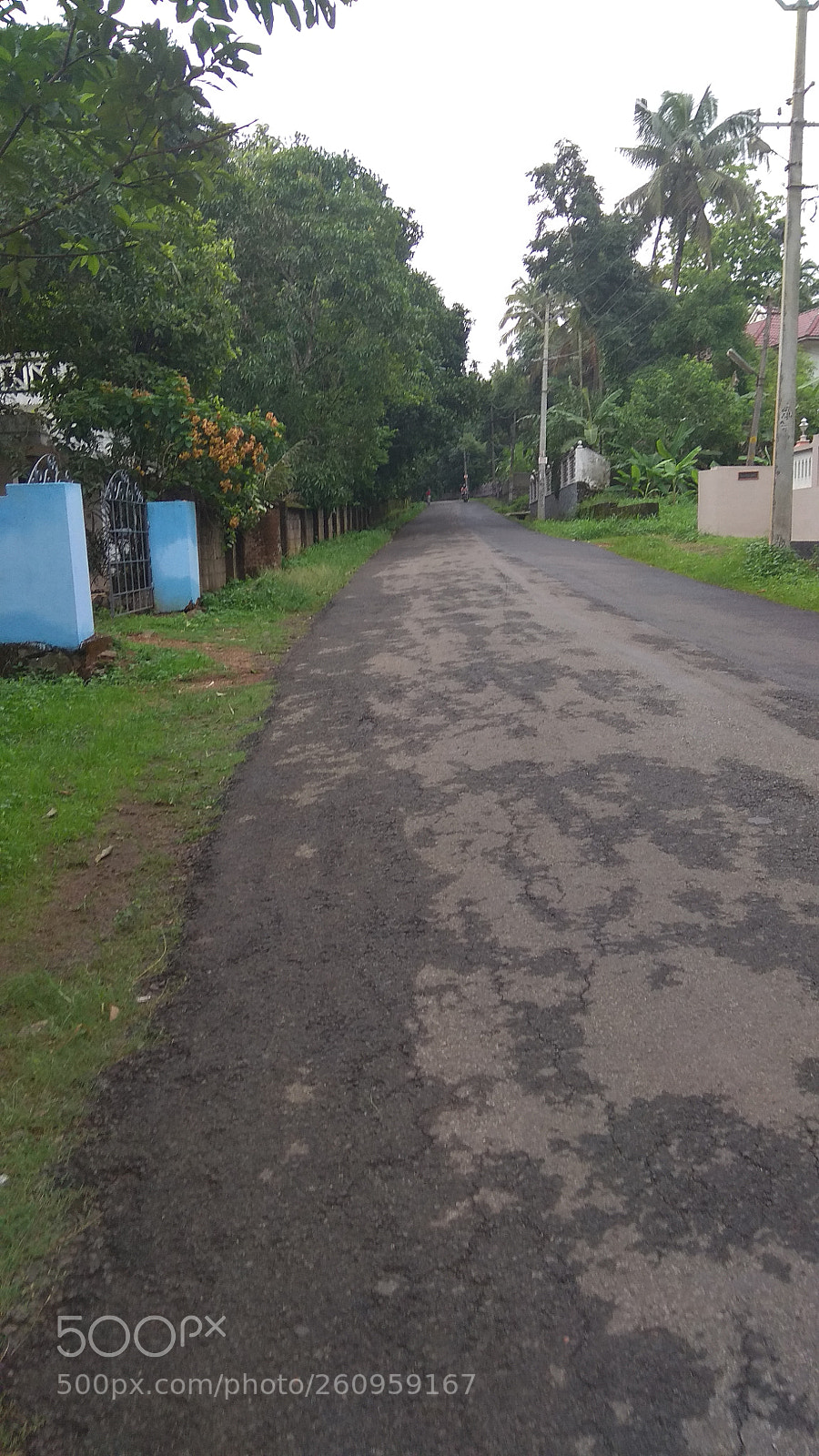 Xiaomi Redmi Note 4 sample photo. Untitled photography