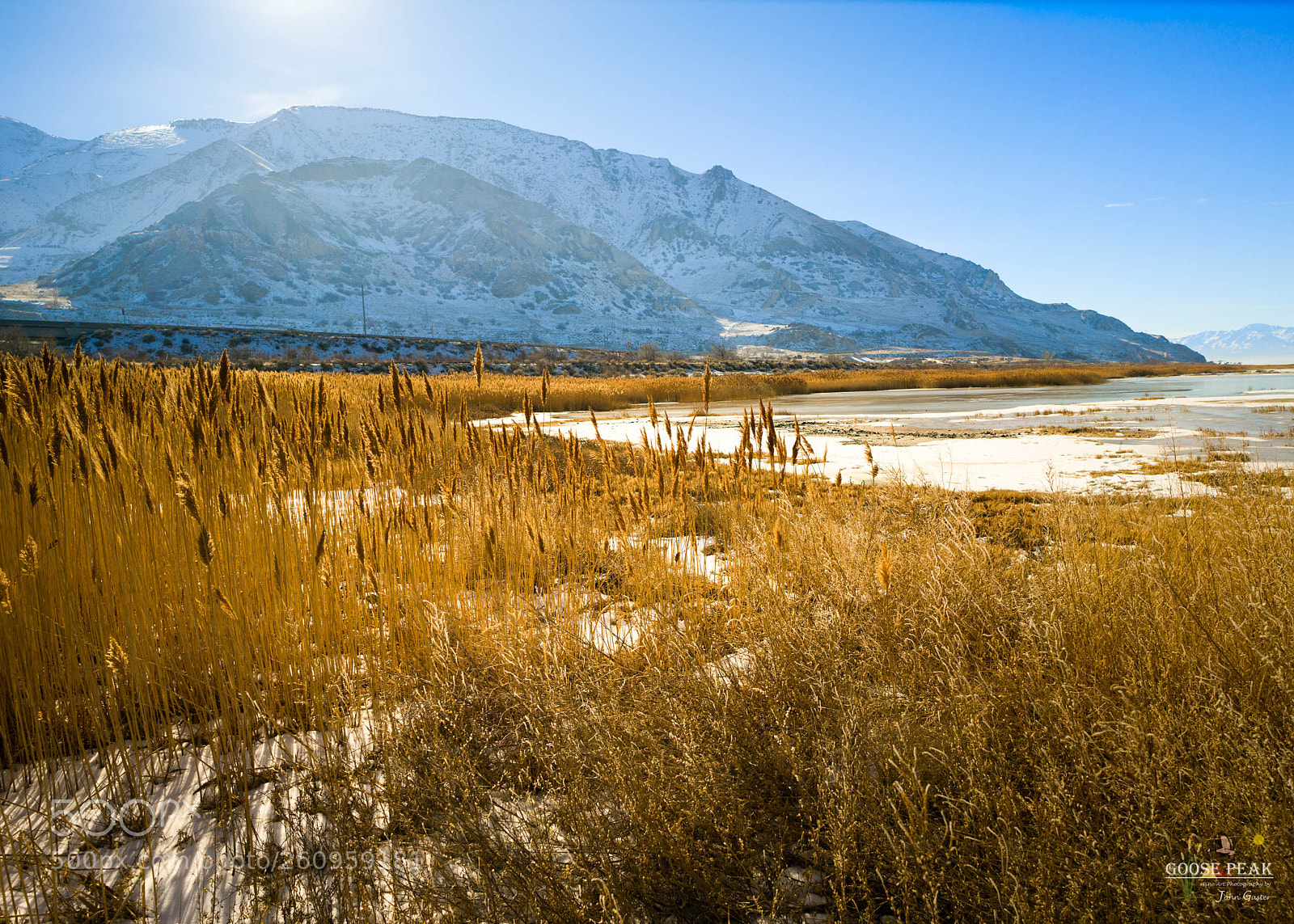 Sony a7R II sample photo. Winter reeds at black photography