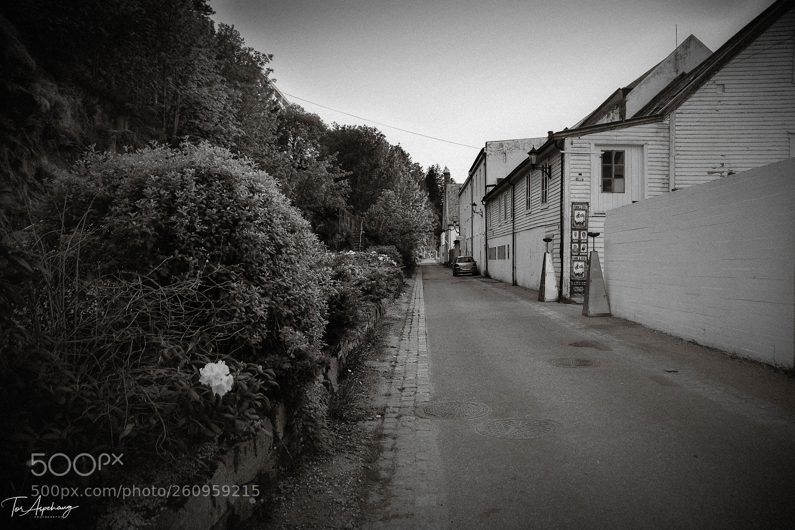 Nikon D7200 sample photo. Molovegen 02 bw.jpg photography