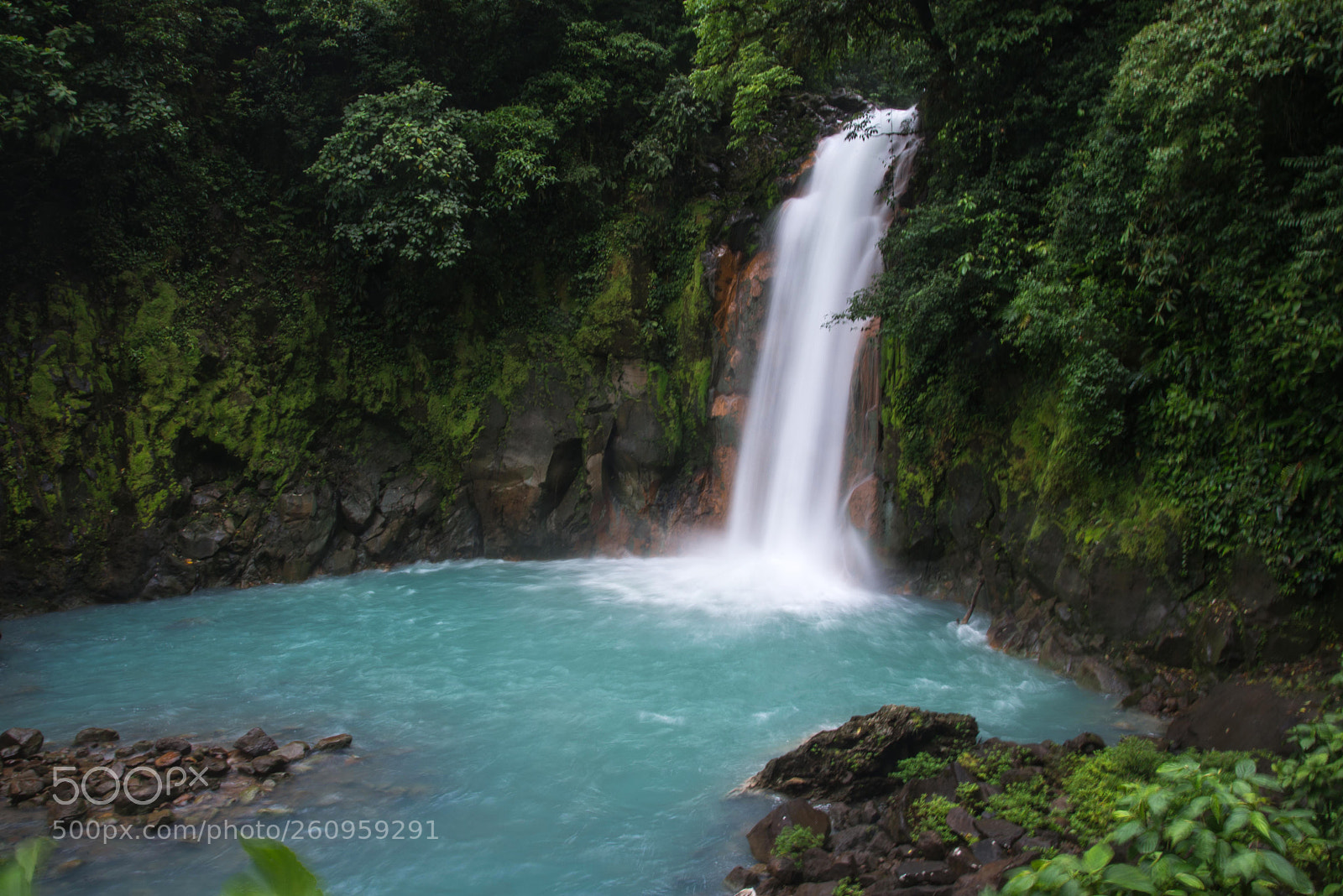 Nikon D610 sample photo. Costa rica - rio photography