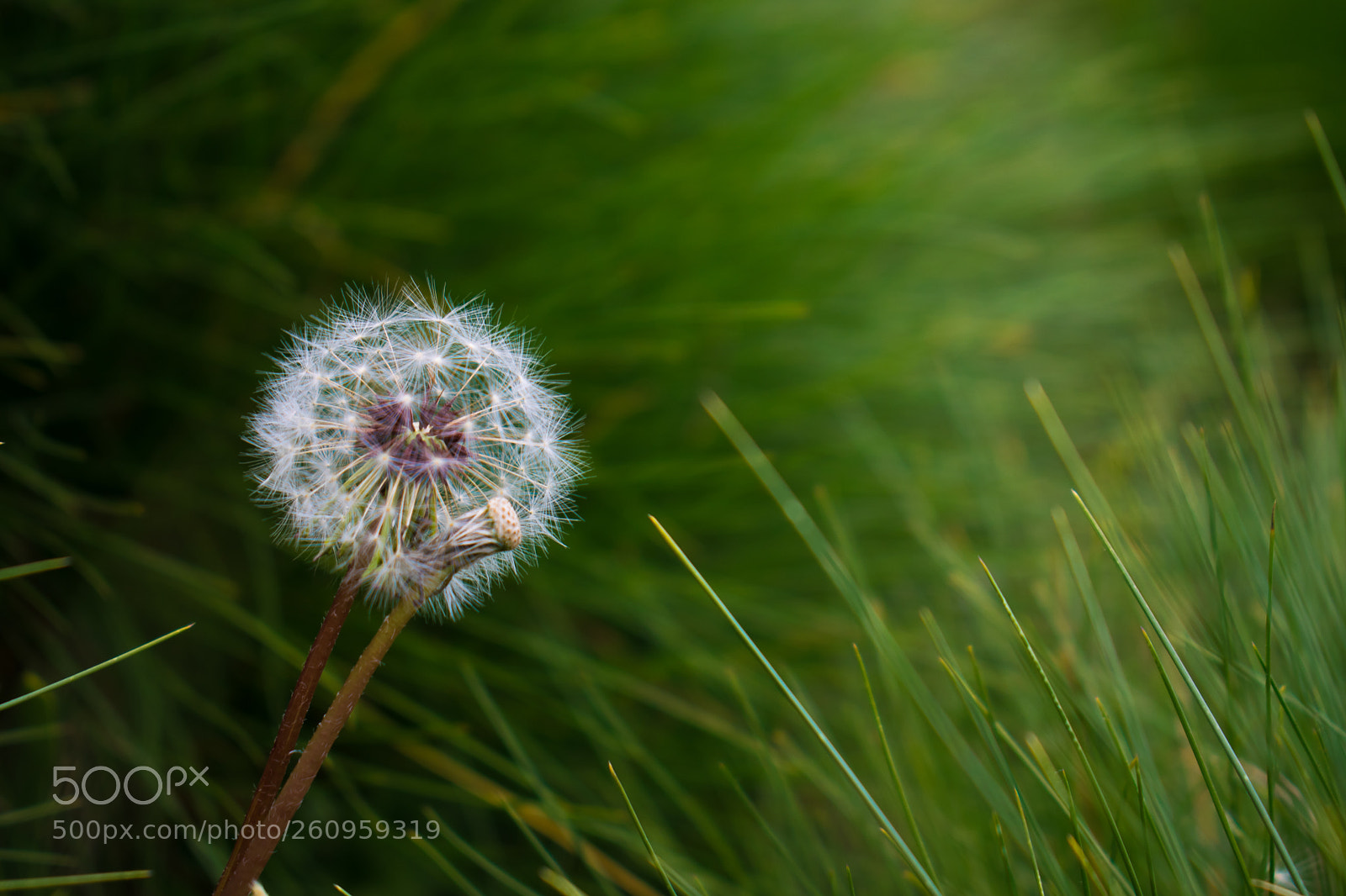 Nikon D3300 sample photo. Waiting for the air photography