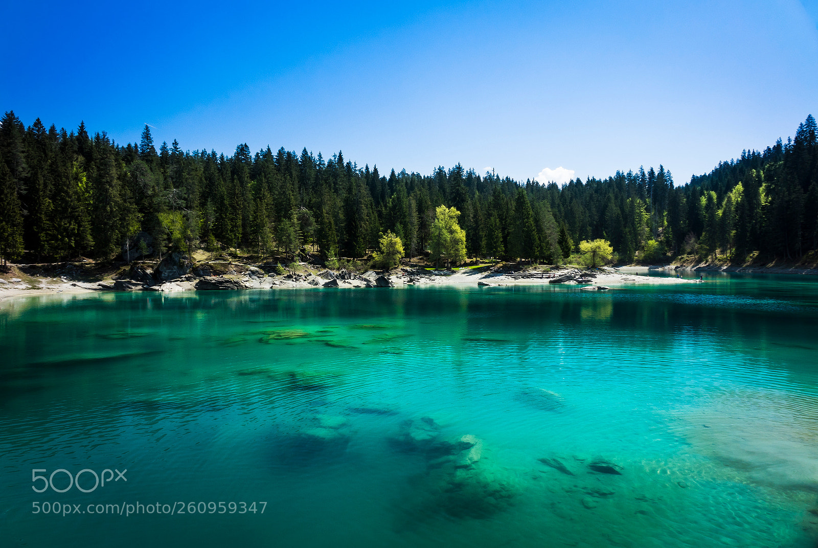 Sony Cyber-shot DSC-RX10 sample photo. Caumasee photography