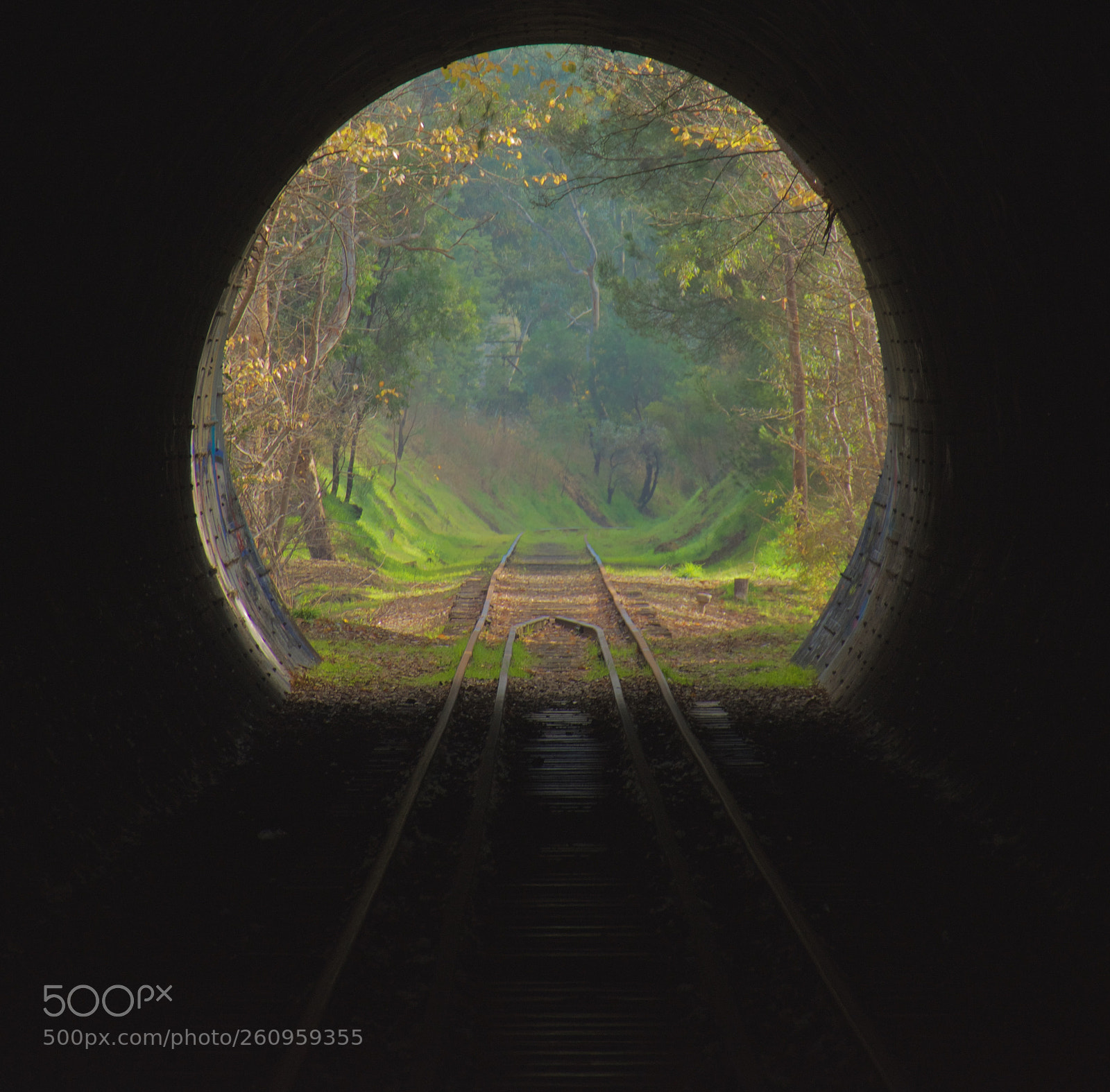 Nikon D7200 sample photo. Magic tunnel photography