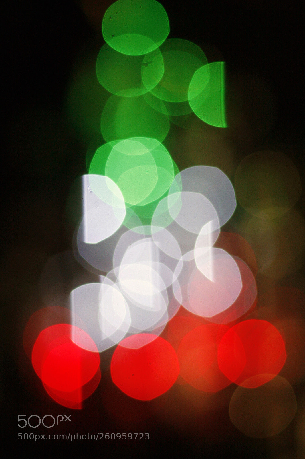 Canon EOS 30D sample photo. Italian christmas tree photography