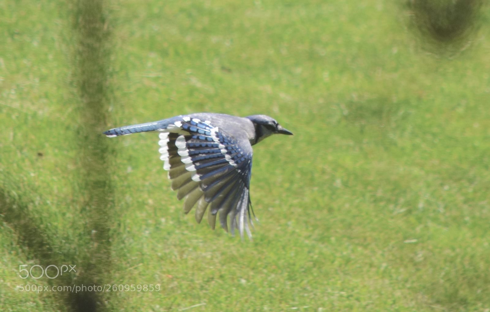 Nikon D3300 sample photo. In flight. photography