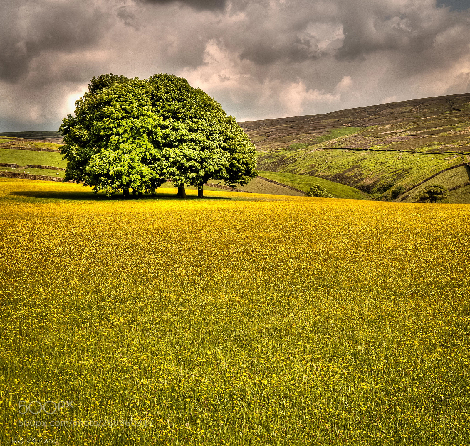 Nikon D300 sample photo. Spring countryside photography