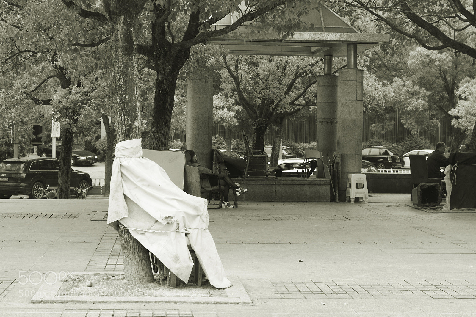 Canon EOS 550D (EOS Rebel T2i / EOS Kiss X4) sample photo. 坐 photography
