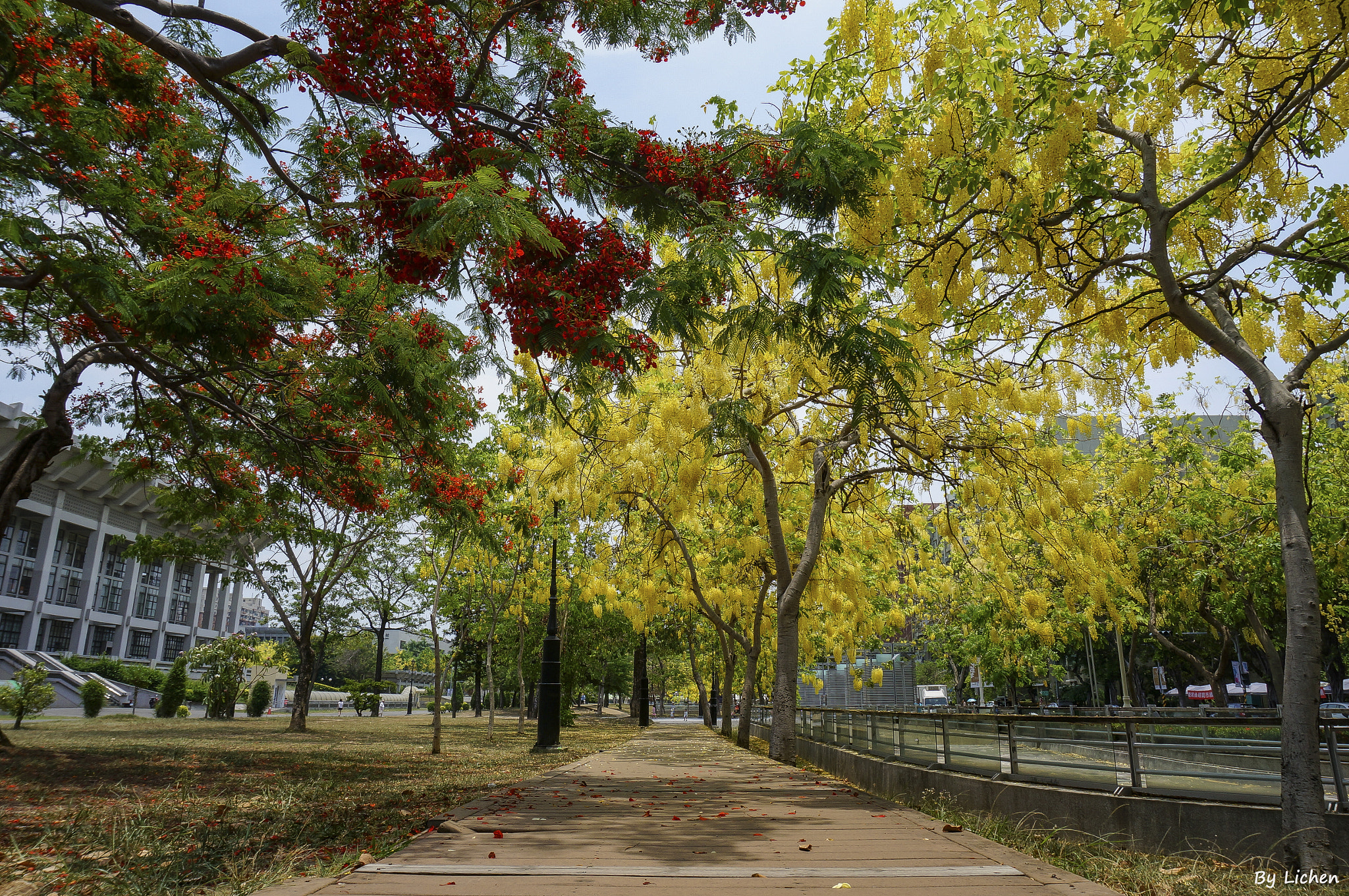 Sony Alpha NEX-6 sample photo. 黃綠紅 photography