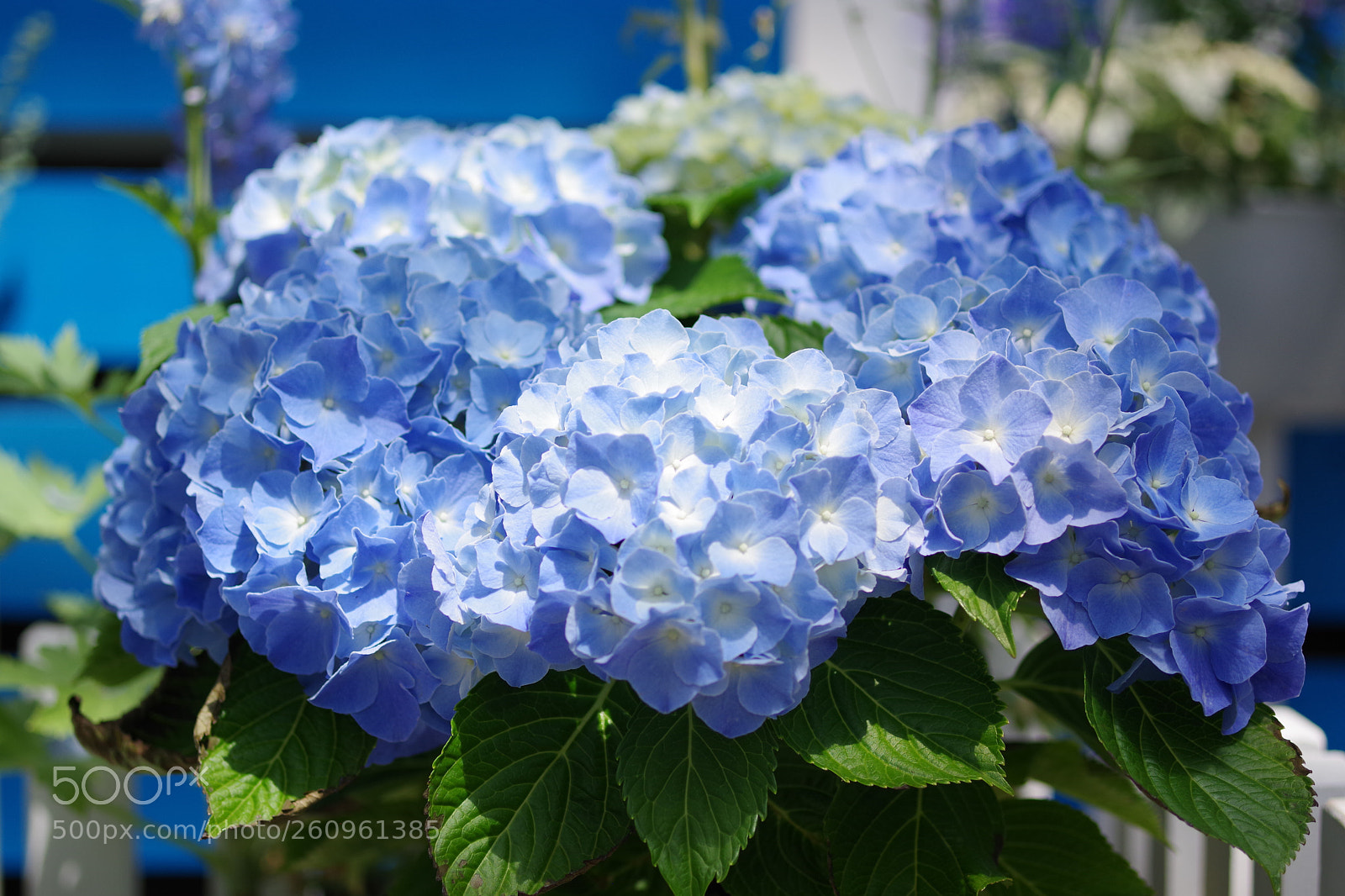 Pentax K-70 sample photo. Untitled photography