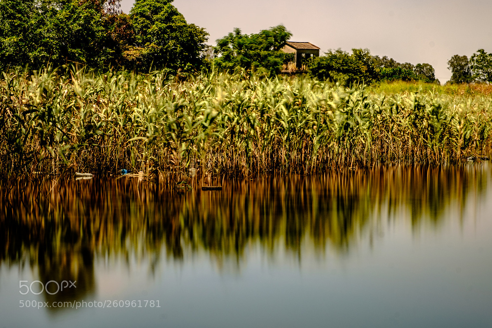 Fujifilm X-T1 sample photo. Nam sang wai photography