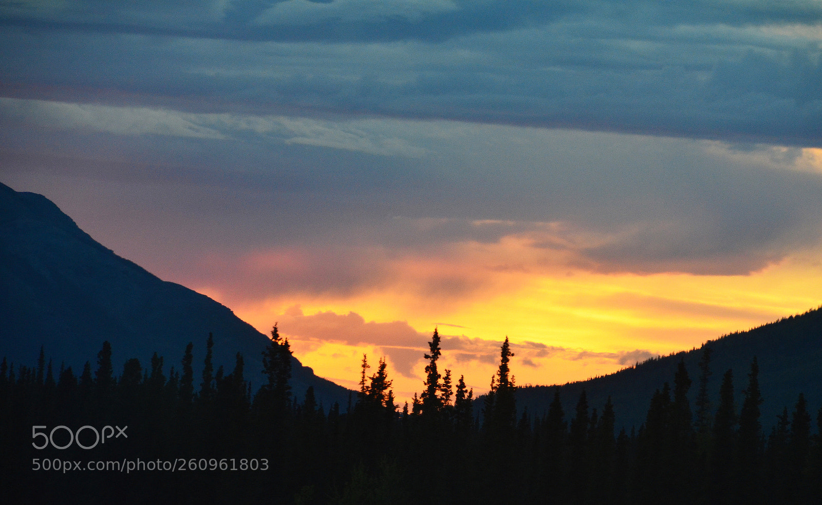 Nikon D5100 sample photo. Good night alaska photography