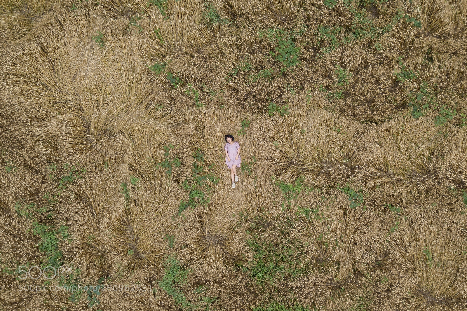 DJI FC220 sample photo. ? photography