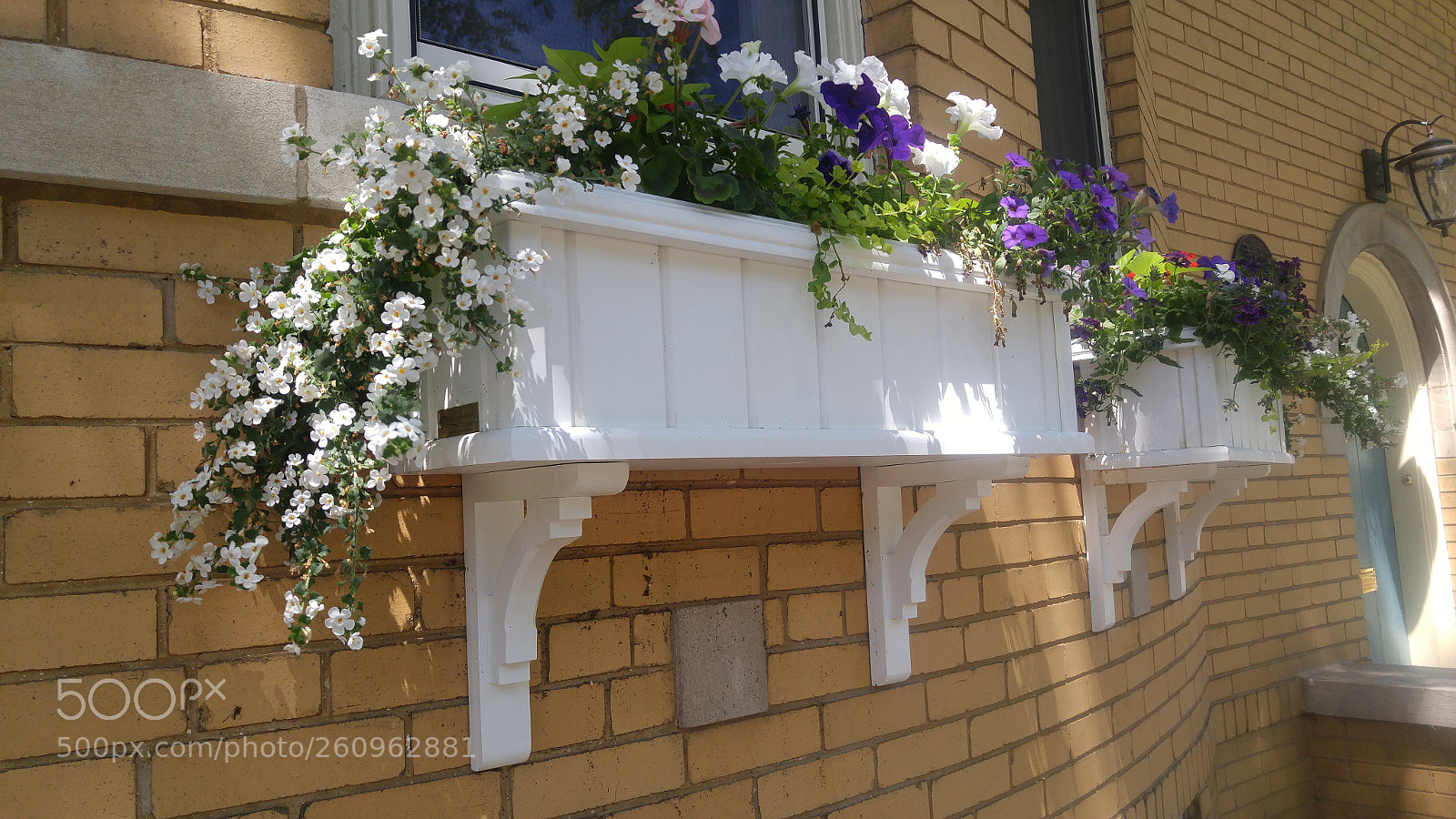 LG G4 sample photo. Flower boxes photography