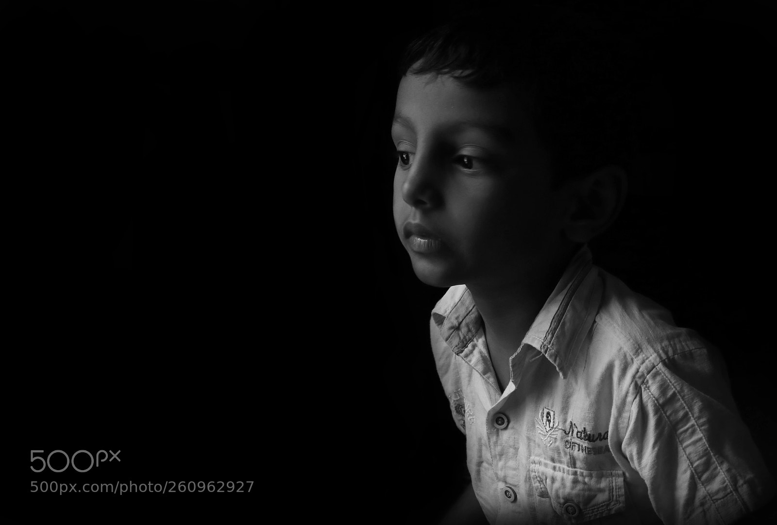 Canon EOS 80D sample photo. Light photography
