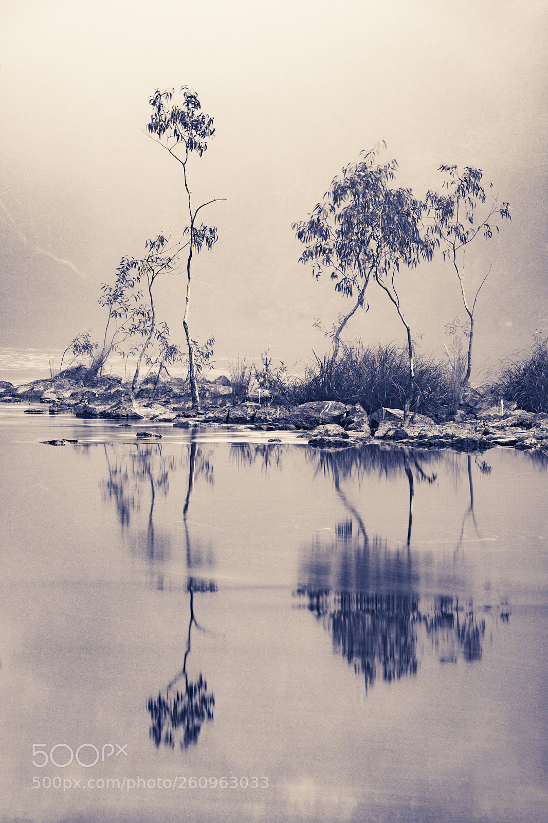 Canon EOS 5D Mark IV sample photo. Fog over yarra river photography