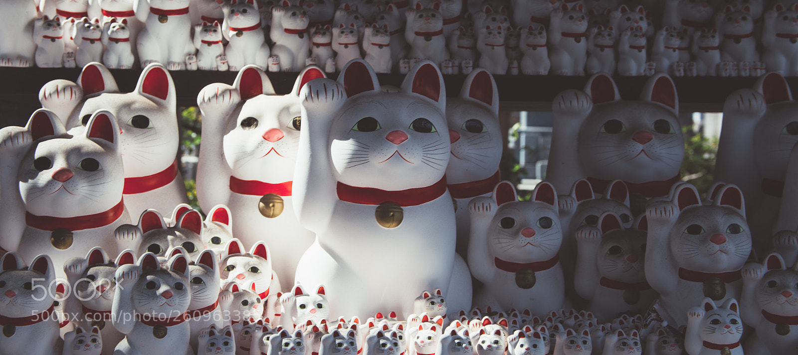 Canon EOS 6D sample photo. Manekineko photography