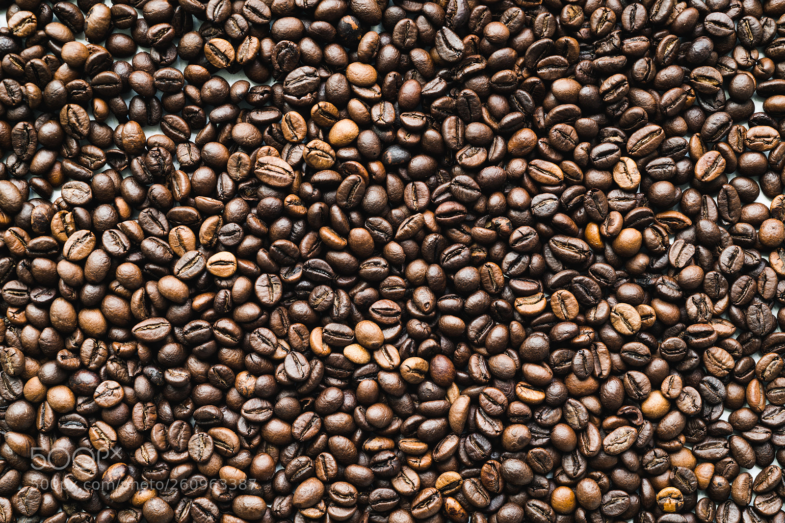 Nikon D850 sample photo. Surface with coffee beans photography