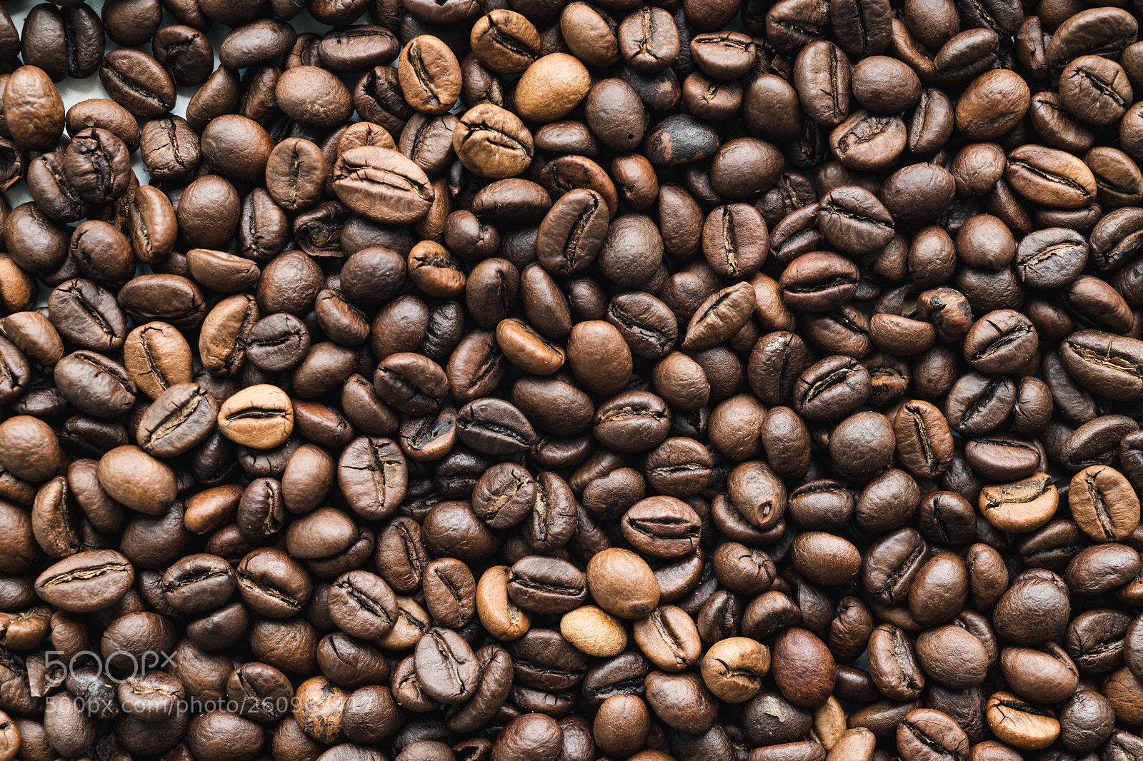 Nikon D850 sample photo. Surface with coffee beans photography