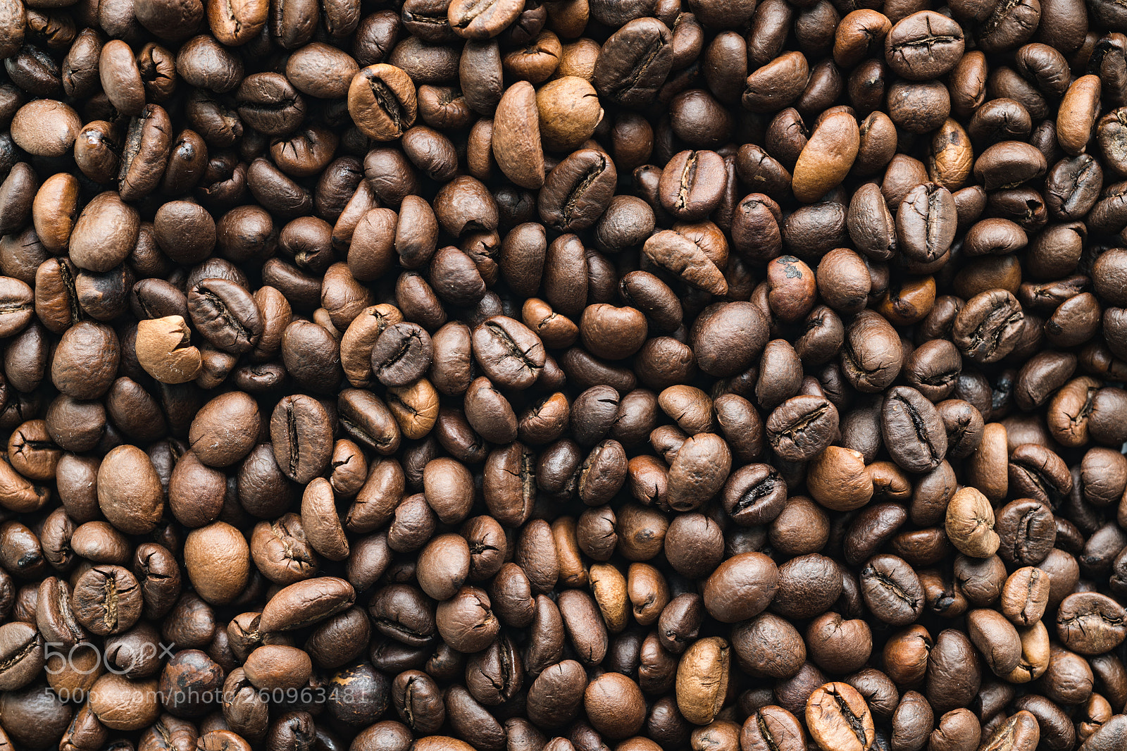 Nikon D850 sample photo. Surface with coffee beans photography