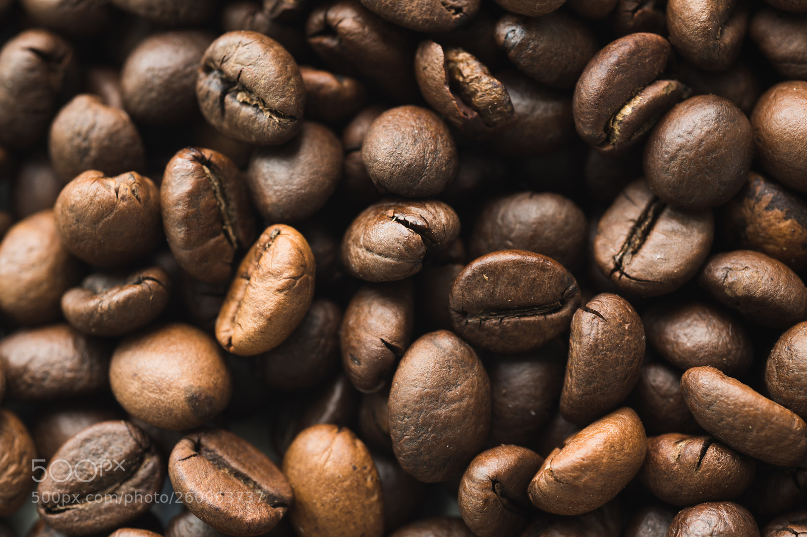 Nikon D850 sample photo. Surface with coffee beans photography