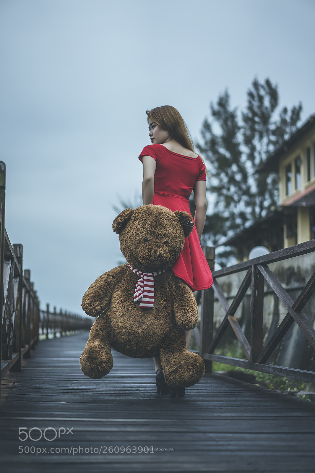 Sony a7 II sample photo. Lee zee photography