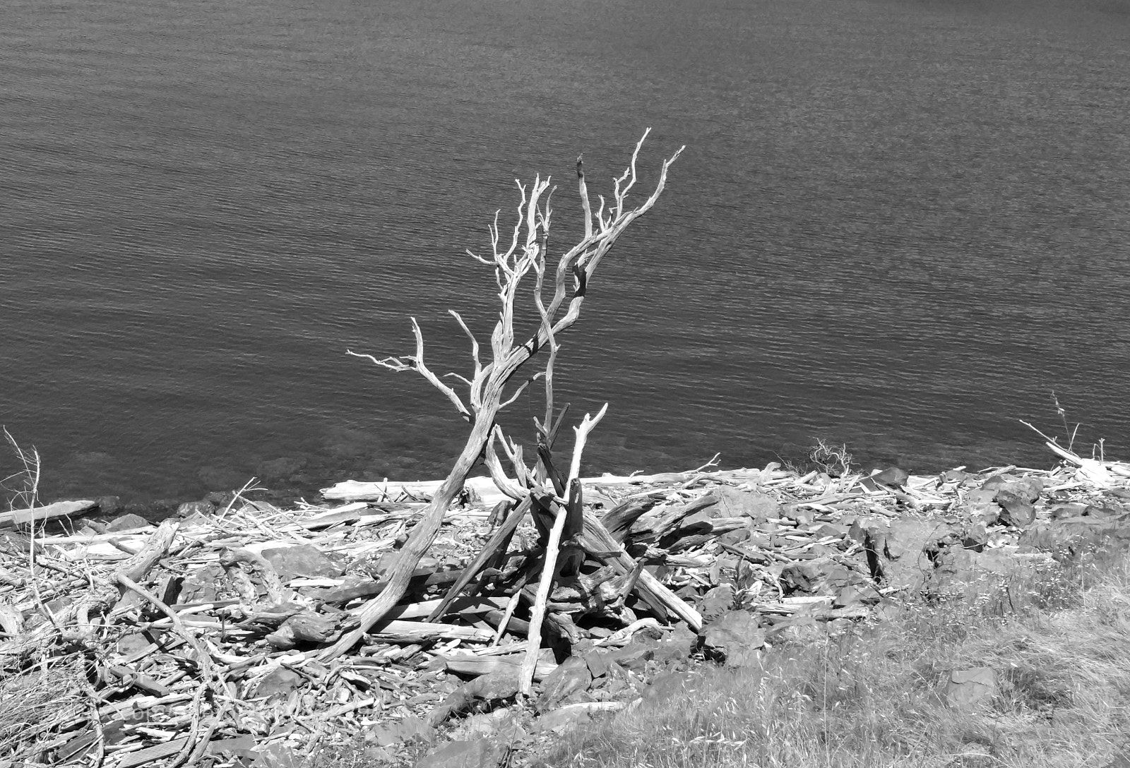 Samsung Galaxy Note4 sample photo. Along the shoreline photography