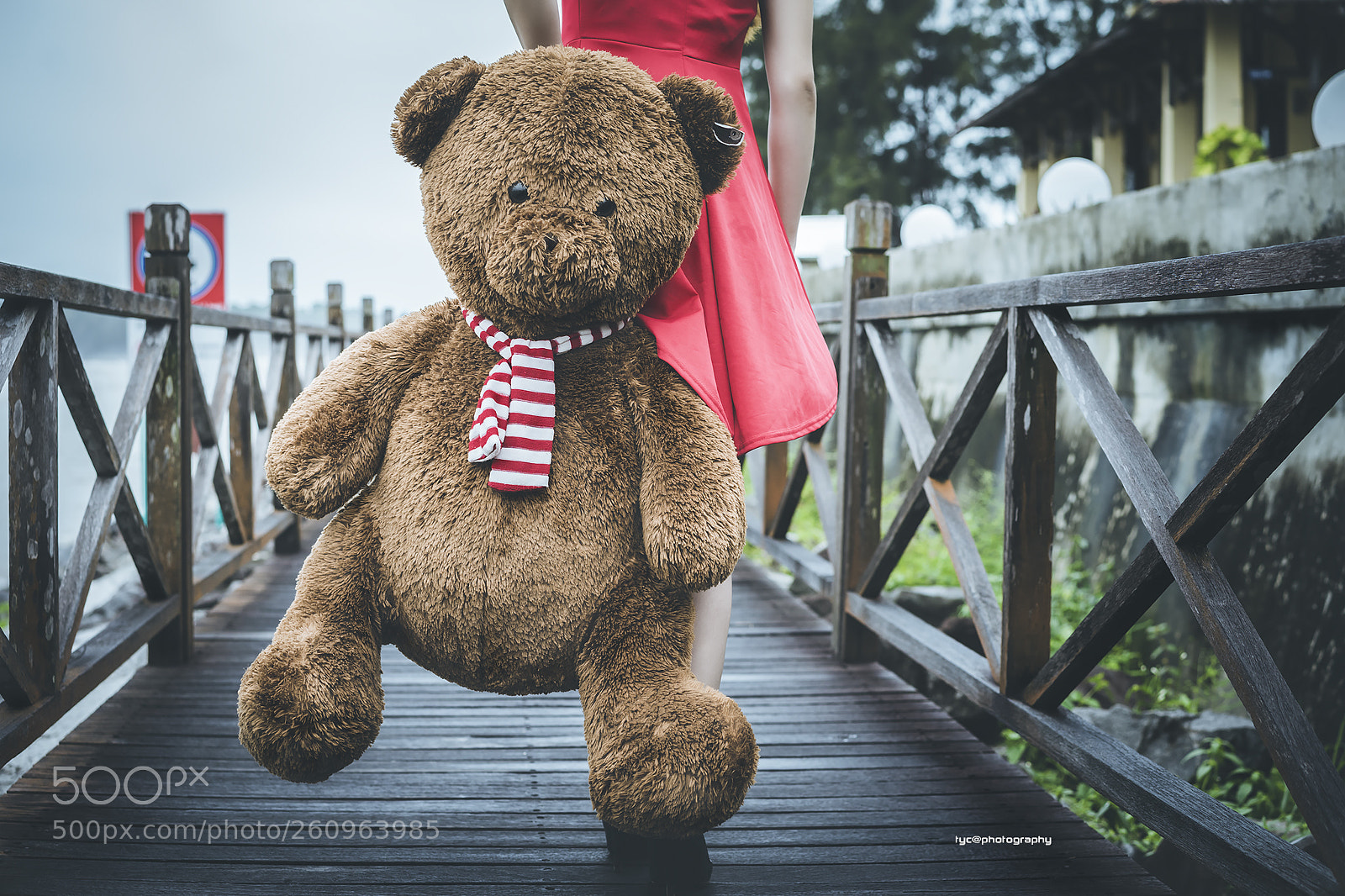 Sony a7 II sample photo. Lee zee photography