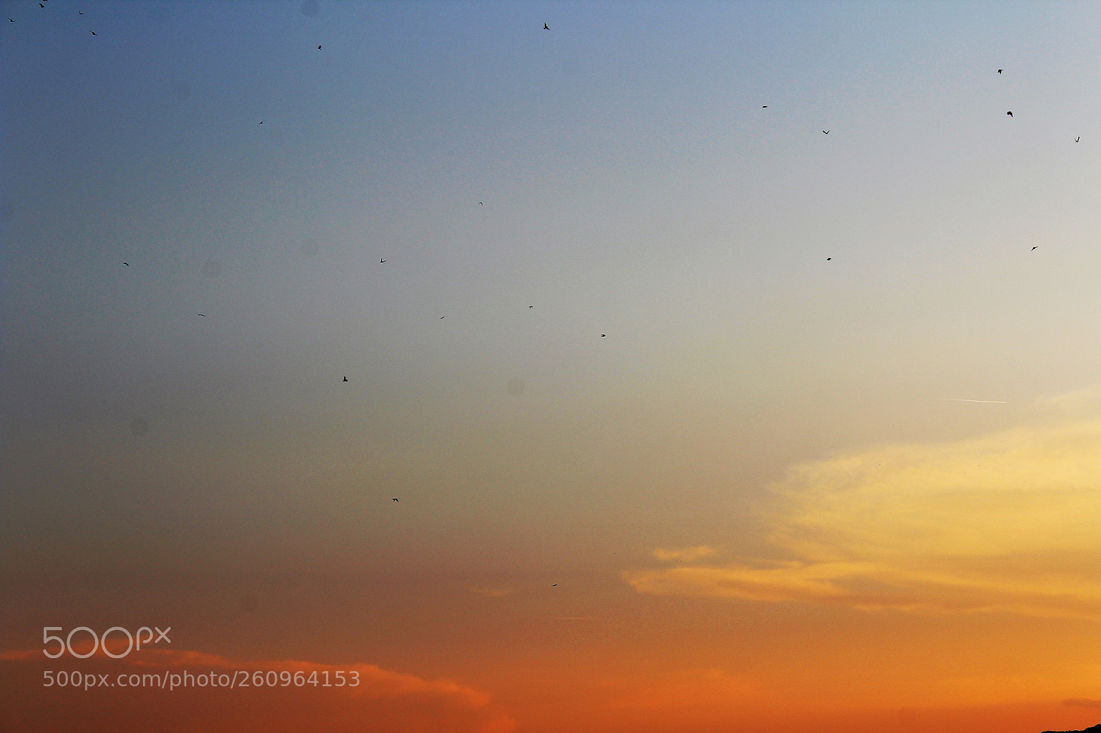 Canon EOS 1200D (EOS Rebel T5 / EOS Kiss X70 / EOS Hi) sample photo. Sunset photography