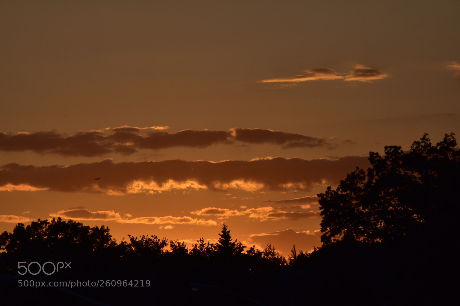 Nikon D3400 sample photo. Sunset  photography