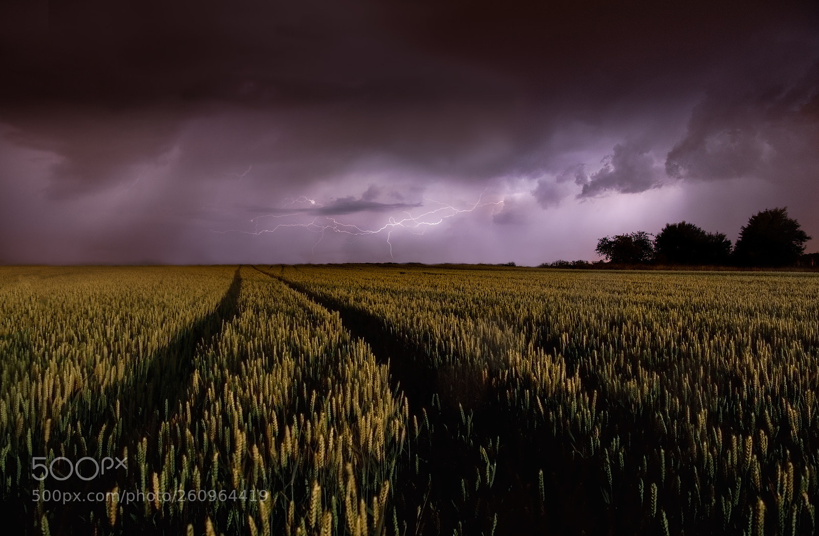 Nikon D5 sample photo. Stormy night photography