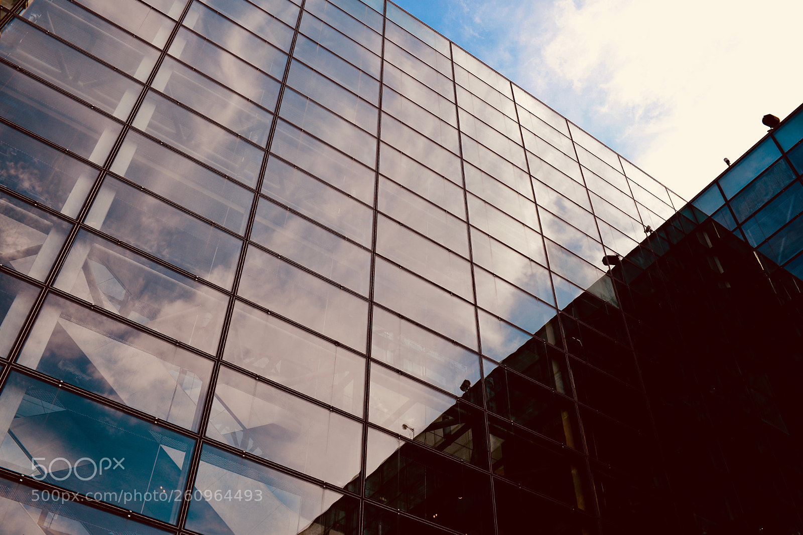 Nikon D610 sample photo. 交错 photography