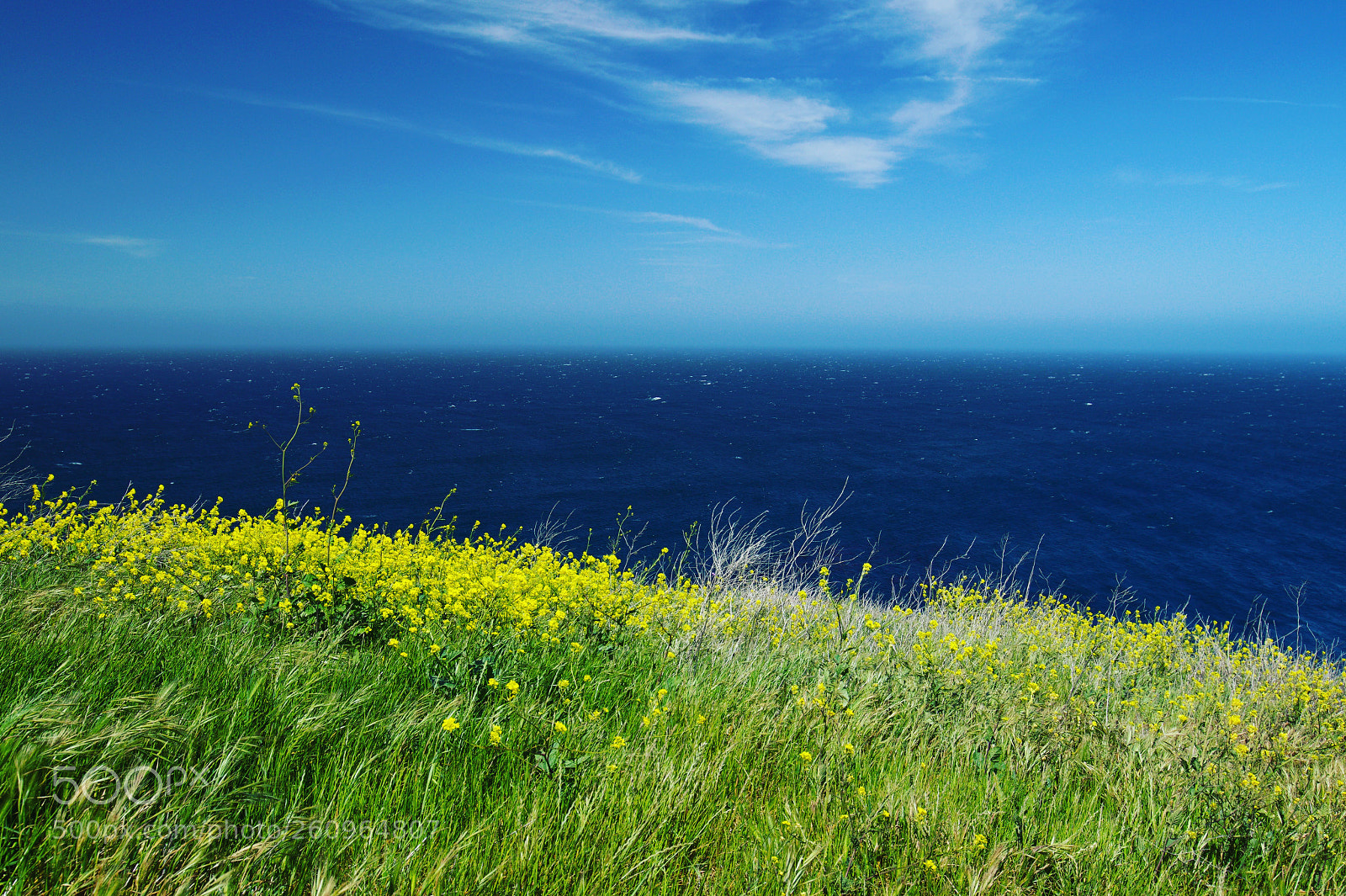 Canon EOS 80D sample photo. Santa cruz island, ca photography