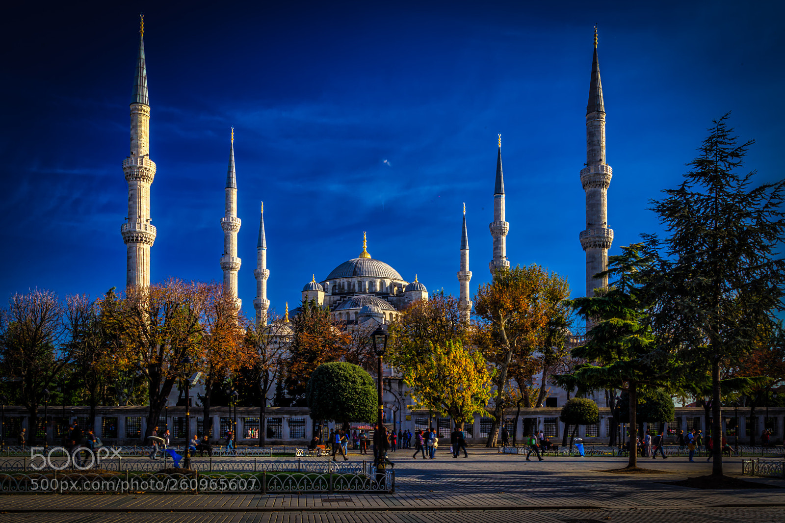 Canon EOS 5D Mark II sample photo. Blue mosque photography