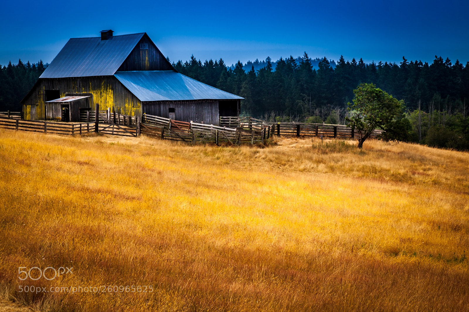 Canon EOS 5D Mark II sample photo. San juan island farm photography