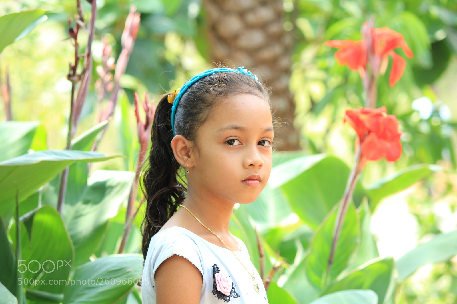 Canon EF-S 55-250mm F4-5.6 IS II sample photo. Untitled photography