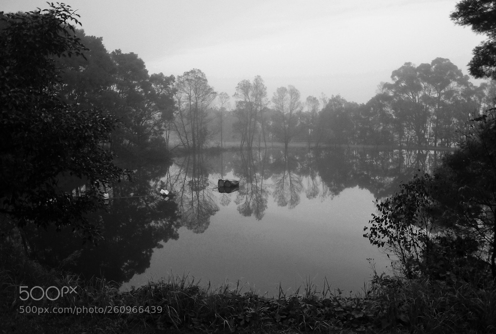 Nikon D7000 sample photo. Reflections on a pond photography