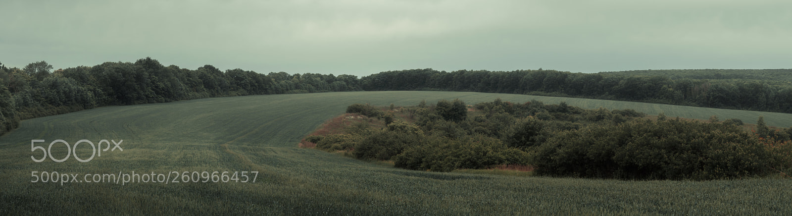 Nikon D3200 sample photo. Rain coming soon. photography