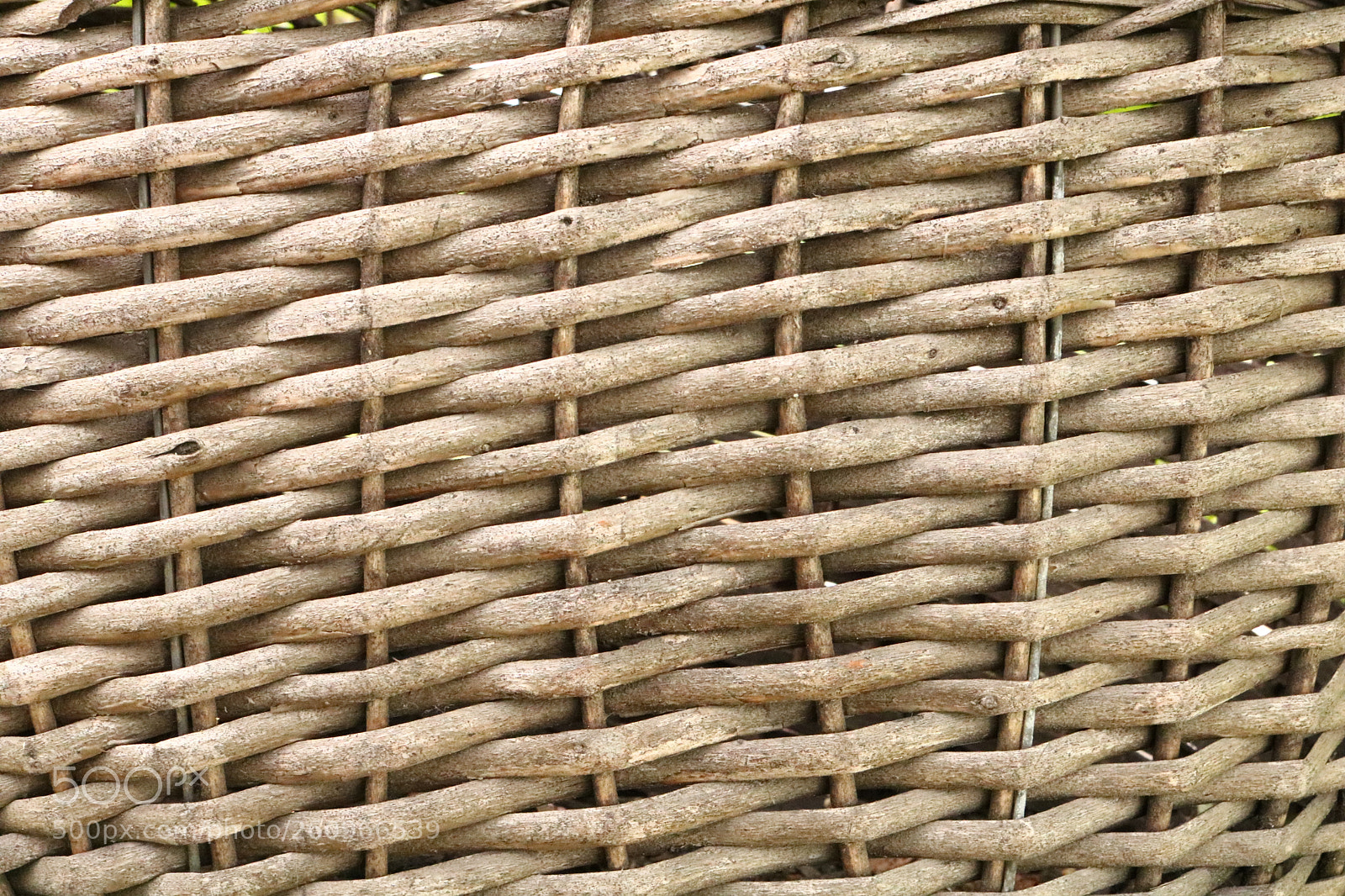 Canon EOS 750D (EOS Rebel T6i / EOS Kiss X8i) sample photo. Background based on a photography