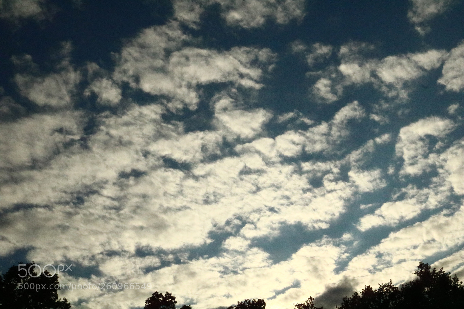 Canon EOS 750D (EOS Rebel T6i / EOS Kiss X8i) sample photo. Fluffy clouds photography