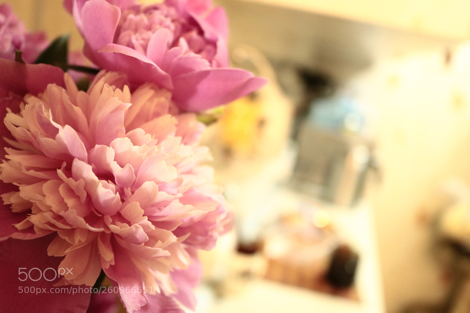Canon EOS 750D (EOS Rebel T6i / EOS Kiss X8i) sample photo. Flowering pink flowers photography
